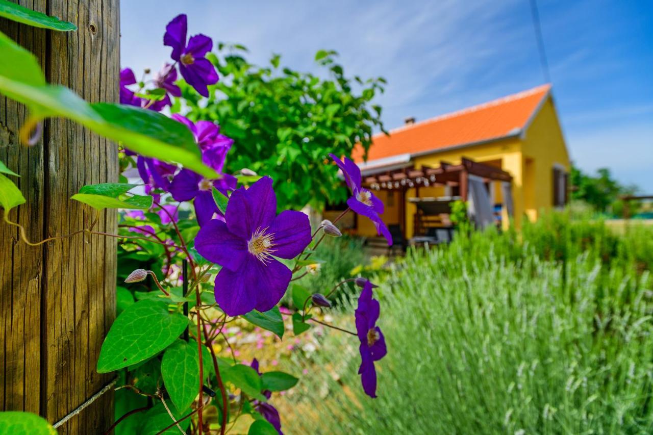 Sunny House Villa Smokovic Exterior foto
