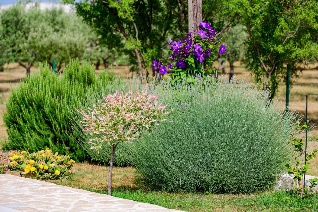 Sunny House Villa Smokovic Exterior foto