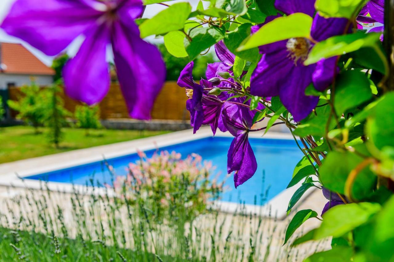 Sunny House Villa Smokovic Exterior foto